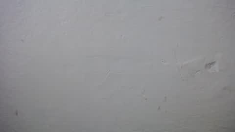 lisa_branch online show from December 20, 11:17 am