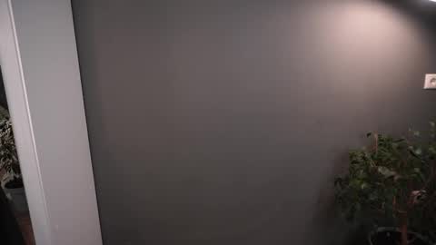 Elisabeth or Lisa online show from November 26, 8:21 pm