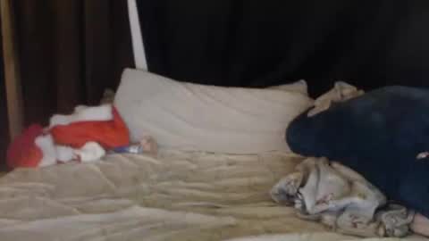 Lisa Tyler online show from December 27, 7:40 am