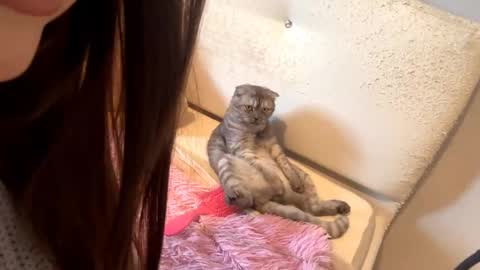 Catherine online show from October 7, 2:09 am