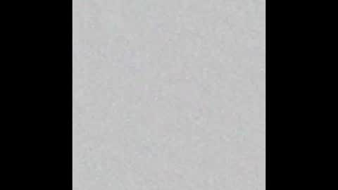 Snapshot of little_pearl_ chatting on November 9, 7:01 pm Adaline online show from November 9, 7:01 pm