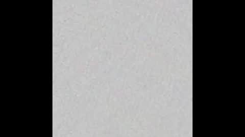 Snapshot of little_pearl_ chatting on November 23, 5:29 am Adaline online show from November 23, 5:29 am