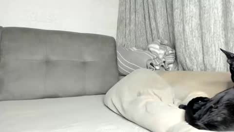 my Instagram  online show from February 21, 6:09 pm