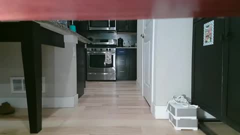 Littlleclitty247 online show from September 11, 9:48 pm