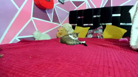          --- Onlyfans Free --  online show from December 20, 3:02 am