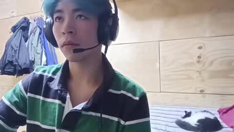 Tobby online show from December 28, 4:51 am