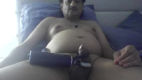 litzsa online show from April 25, 11:02 am