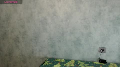 Snapshot of lizzielight chatting on December 27, 6:53 pm LizzieLight online show from December 27, 6:53 pm