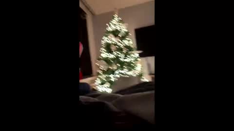 Cumshooter online show from December 8, 12:18 am