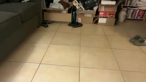 logical12345 online show from January 19, 6:39 am