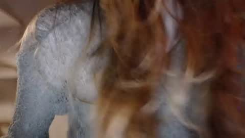 Snapshot of lola_dinky chatting on May 14, 8:26 pm Lola online show from May 14, 8:26 pm