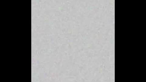 Your only Peach online show from September 19, 10:05 am