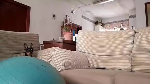 Snapshot of lolahueso chatting on October 17, 8:06 am LOLA HUESO y ERIC online show from October 17, 8:06 am