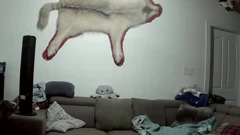 Lola Lixx online show from October 9, 5:49 am