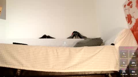 Miss Lolla online show from October 27, 6:50 am