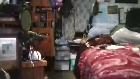 Mr. FogoDeChao online show from March 6, 5:42 pm