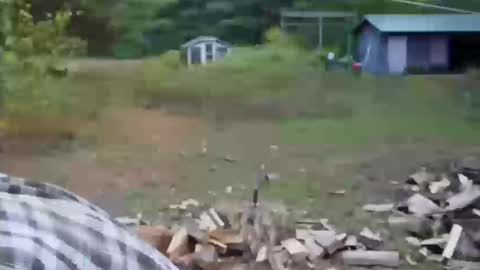 Snapshot of longtimerambler chatting on October 11, 9:02 pm longtimerambler online show from October 11, 9:02 pm