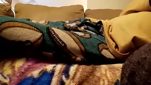 looking4bush online show from December 15, 8:04 pm