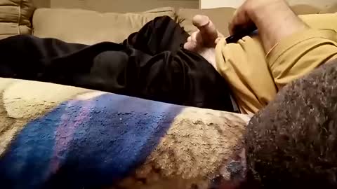 looking4bush online show from November 12, 4:46 am