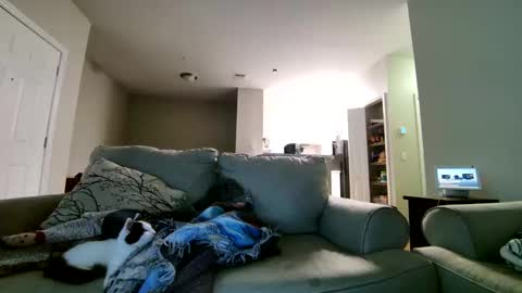 Snapshot of losrompecamera chatting on November 17, 6:30 am LosRompeCamera online show from November 17, 6:30 am