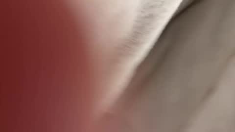 lost_surprise online show from April 14, 3:56 am