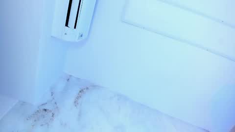 Snapshot of lotti_carter chatting on May 24, 12:15 am Lotti online show from May 24, 12:15 am