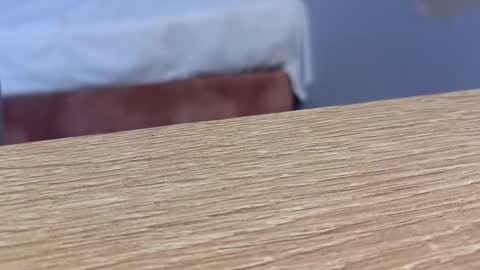  Lou Rosse  online show from January 22, 8:49 pm