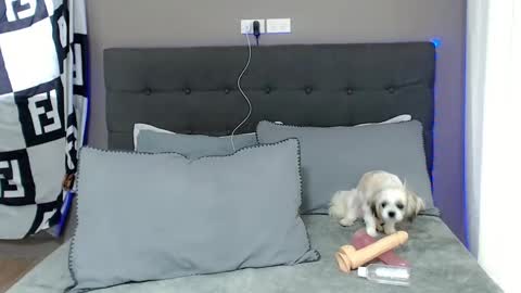 Jastine online show from December 2, 1:58 am