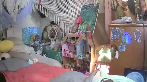 lala online show from November 22, 8:24 am