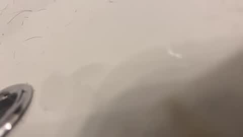 Snapshot of lovetoplayinmnwithu chatting on January 30, 11:34 pm lovetoplayinmnwithu online show from January 30, 11:34 pm