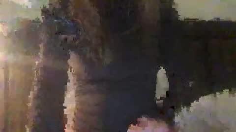 lozivelle online show from November 12, 5:41 am