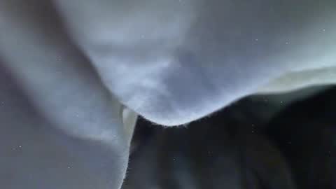 Milk Me online show from May 27, 9:12 pm