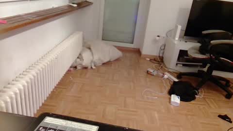Snapshot of lu25humiliation chatting on January 10, 4:51 pm lu25humiliation online show from January 10, 4:51 pm