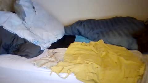 lu485947452685 online show from December 19, 6:48 pm