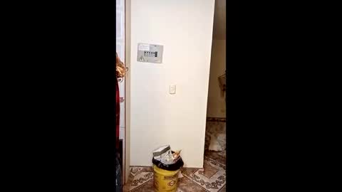 luana363 online show from January 11, 4:50 am