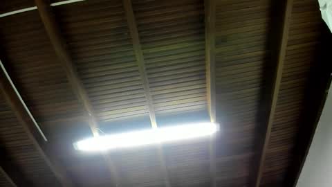 luca_morettii online show from November 5, 12:16 pm