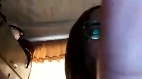 Snapshot of luciana3121 chatting on August 7, 7:49 pm luciana3121 online show from August 7, 7:49 pm