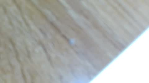 Snapshot of lucie_nicolls chatting on December 13, 12:31 am Lucie online show from December 13, 12:31 am