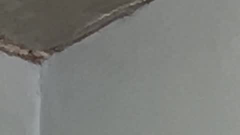 Snapshot of lucifermorningstar94 chatting on September 17, 2:57 am Lucien online show from September 17, 2:57 am