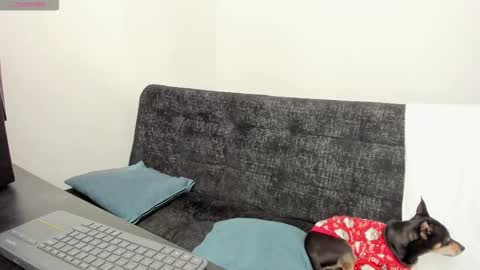 luci online show from December 4, 7:11 pm