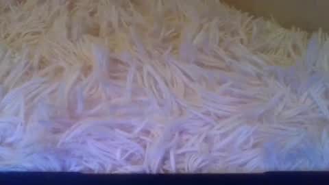 prettybaby1012 online show from September 20, 5:14 pm