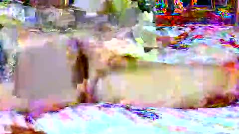 Snapshot of lucky134u chatting on April 20, 2:31 pm lucky134u online show from April 20, 2:31 pm