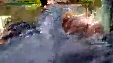 Andrew online show from October 22, 10:59 am