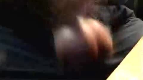 lukestarfckr online show from October 17, 4:53 pm