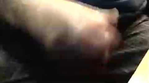 lukestarfckr online show from November 23, 7:57 pm