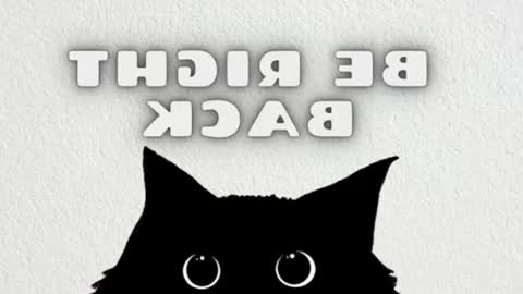 Snapshot of lulu_js_ chatting on June 22, 11:57 pm elizabeth online show from June 22, 11:57 pm