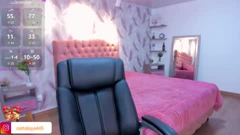  Luna online show from November 19, 2:33 am