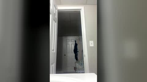 lunamoth00 online show from December 15, 12:04 am