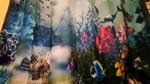 .Clarissa. Follow me on Instagram   miss buns  online show from March 5, 4:30 am