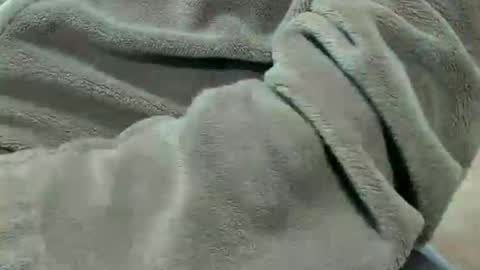 lustgardener67 online show from October 7, 7:11 pm